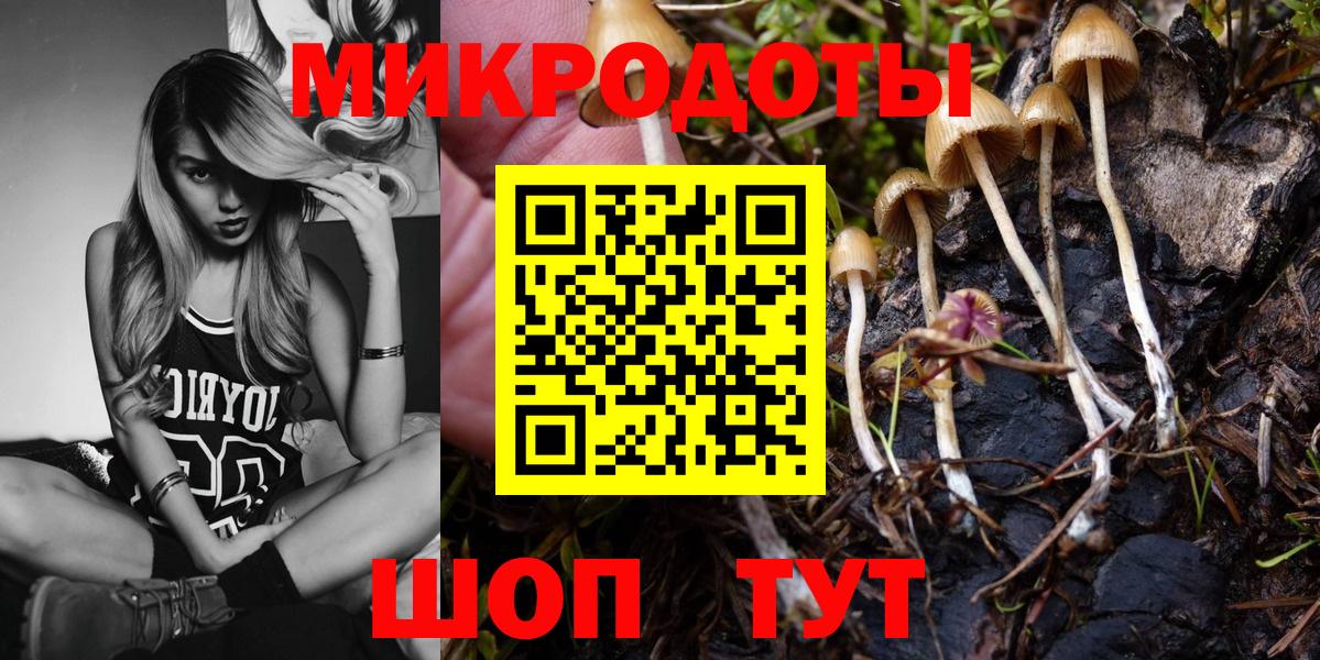 Псилоцибиновые грибы MAGIC MUSHROOMS Елец