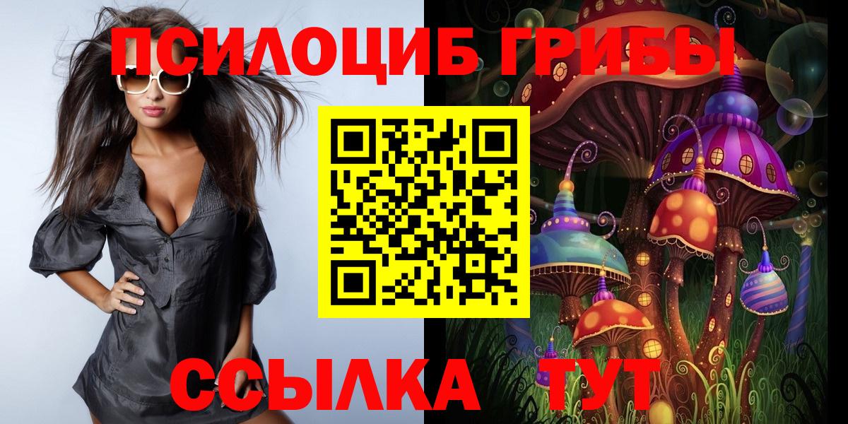 Псилоцибиновые грибы Cubensis  Вход с VPN  Елец  цена   Псилоцибиновые грибы Psilocybine cubensis 